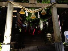 日枝神社もライトアップされていました。
宿に帰って、早めに就寝します。
(2,3日目に続く)