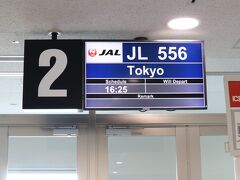 空港には1時間前に着きましたが、荷物を預けたり保安検査場通過したりと混み合っていて結構時間を要しました。
16:25の羽田空港行きは10分遅れました。