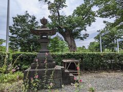 松本まで戻ってきました。松本城の前に神社発見。