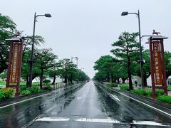 途中から雨は本降りに…。　この日最初の目的地でもある十和田市内に到着。　春になると桜並木がめっちゃキレイな、官庁街通りです。　是非桜が満開の時にまた訪れてみたいな♪