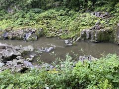その後は、真名井の滝まで高千穂峡遊歩道を散策。
往復1時間程度のようですが、写真撮ったりしていたのでもう少しかかりました。