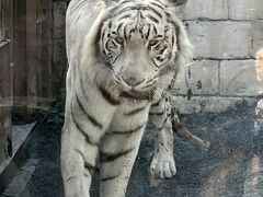 東武動物公園