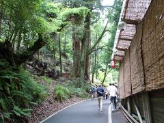 　道の両側に茶屋や川床が並んでいます。少々お高いですが京の夏の風物詩として、一度は行く価値があります。