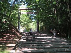 公園のなかを散歩しながら北海道神宮へ向かいます
札幌駅からだったら直通バスで、停留所から１分の所に到着するはず・・・
私は地下鉄から15分ほど歩きました・・・
