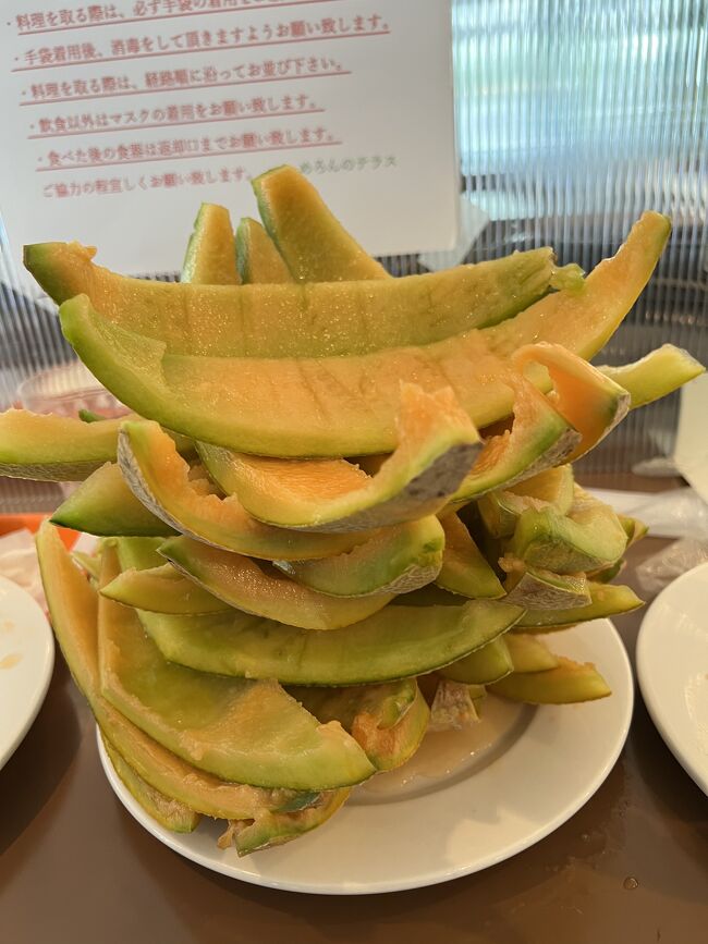 いくつ食べたか数えていませんが、メロンまみれで満喫しました。<br /><br />食後は再び道東自動車道に乗って占冠(しむかっぷ)ICで降りて、237号線を北上します。