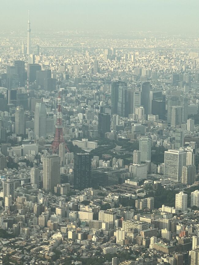 東京タワーとスカイツリー