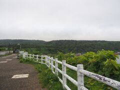 ホテル隣の野塚展望台。利尻山は雲の中。