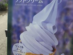 ラベンダーソフトクリームをカップで購入。

250円也。

混雑する前に頂いておこう。