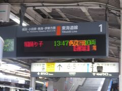 11月15日午後1時半過ぎ
川崎駅から特急踊り子117号伊豆急下田行きに乗ります。
当時は185系の踊り子号100番台の号数がついてたね。