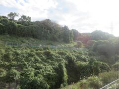 このあたりの緑多い風景が好き。
以前は大きな犬小屋のオブジェが並んでいて好きな風景だった場所
いい気分