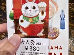 【新横浜、ラーメン博物館】

私自身、横浜出身なのだが、大学卒業以来、づ～っと海外にいたので...


写真：入場料：350円...安い...かも...