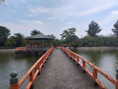 次は九華公園に行きました。九華公園は桑名城跡の本丸及び二之丸跡を利用して、約7.2haの広さがある公園です。園内では4月に桜、5月につつじ、6月に花菖蒲まつりが開催されます。（観光三重参照）季節に応じて多彩な催しが行われており、大勢の市民で賑わいを見せています。また、園内には松平定綱（鎮国公）と松平定信（楽翁公・守国公）を祭る鎮国守国神社があります。（桑名市観光サイト参照）ポイントはソメイヨシノ、しだれ桜、山桜などの桜が約450本あり[1][2]、三重県下屈指の桜の名所となっています。（wikipedia参照）