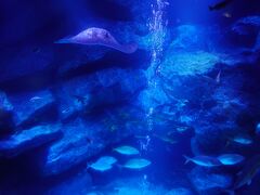 すみだ水族館