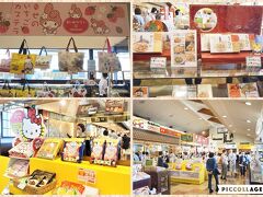 ショッピング　長崎カステラセンター心泉堂　そのぎ店