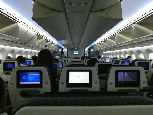 羽田空港到着。<br />到着したのですが、検疫官から降機の指示が下りないとのことで、しばらく機内で待機です。<br />そのうち、国際線の乗り継ぎがある方、ビジネスクラス搭乗客の順に降機の指示があり、一番最後にエコノミー搭乗客が降機となりました。<br />機体での待機は20分くらいでした。<br />でもその間は機体エンタメが使えたので、着陸間際に存在に気付いた「孤独のグルメ」を見ることができました。結果オーライ。