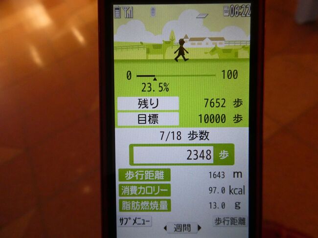 青い用紙を受け取ったら、あとはいつもと同じの入国審査と税関審査です。<br />預入荷物をピックアップして、ようやく入国できました。<br />ちなみに、降機から入国まで歩いた距離は約1.6km、2300歩でした。<br />帰国してからも遠足は続いたのでした。<br /><br />最後までお読みいただき、ありがとうございました！