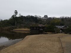 12時から、玄宮園を見学しました。池の水が一部抜かれていましたが、それでも、池と御殿と天守閣を見られる光景は美しかったです。残念なことに、ポツポツ雨が降り始めました。