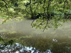 吉沢の池
