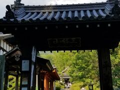 金屋の石仏とか見たいよね～
と歩き出したけれど
私が方向を全く取れない

気付けばこちらのお寺に着いておりました