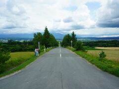 車窓からパノラマロード江花。
ふらの八景の一つ。