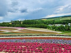 四季彩の丘
おぉ～、花のパッチワーク。
