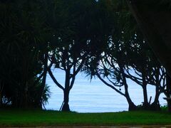 "なかむらそば"の駐車場は、豪雨にも
かかわらず続々と車が入ってきたので
行ってみたかった万座ビーチの駐車場へ移動

雨が止むのを待つこと1時間。。。zZＺ