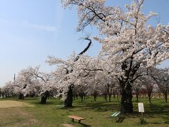 花桃の公園