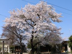 山王寺