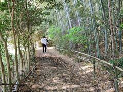 飛鳥寺を後にして、次は、酒船石に向います。
山道を少し登りますので息が切れます。