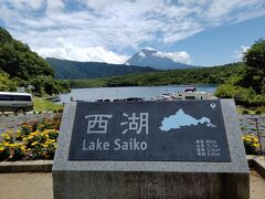 西湖は富士山の火山活動によって生まれた堰止湖のひとつで、富士五湖の中では4番目の大きさで、深さは2番目になるそうです。
ここでようやく富士山の右側の裾の部分が見えました。