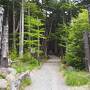 白駒池と軽井沢１泊２日～苔の森～