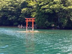 湖の鳥居が雰囲気を高めます