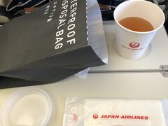 羽田～新千歳空港jal517