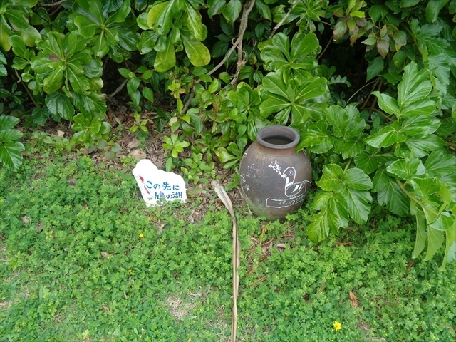 猫探し 鹿児島 与論島歩いて一周 その1 茶花海岸 鳩の湖 編 与論島 鹿児島県 の旅行記 ブログ By 猫探しさん フォートラベル