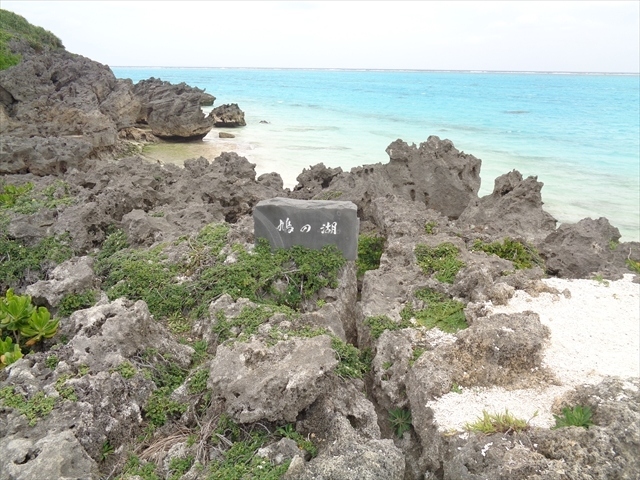 猫探し 鹿児島 与論島歩いて一周 その1 茶花海岸 鳩の湖 編 与論島 鹿児島県 の旅行記 ブログ By 猫探しさん フォートラベル