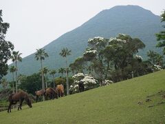 開聞山麓自然公園