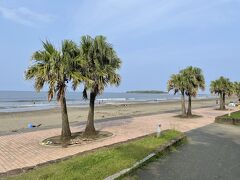 ANAホリデイインリゾートホテルの駐車場を抜けて青島ビーチへ。椰子の木がいい感じ！遠くに見える青島までのんびり歩きます。