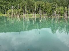 青い池です

綺麗なブルー^ ^
お天気によって色が毎回変化します！