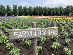 FARM TOMITA*\(^o^)/*

紫のラベンダーと白いラベンダー♡
白は初めて見ました^ ^

どちらもとても綺麗♡♡♡