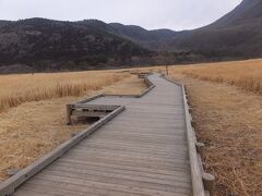 タデ原湿原