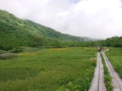 ワタスゲ湿原は浮島などはありませんが、花畑が素敵な湿原でした。