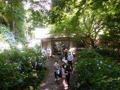 東京都内から２時間強車を走らせて「タイムズのB」で事前予約していた建長寺近くの民間駐車場に車を止めたら、徒歩で紫陽花で有名な明月院へ