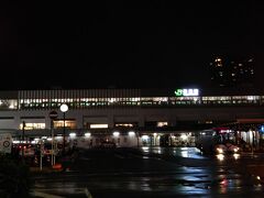 さて、「新潟駅」に戻ってきました。
上越新幹線の始発着駅なので、そこそこ大きいです。

正直、米以外、何の取り柄もないような田舎に、イチ早く新幹線をビャーっと引っ張ったのは、何を隠そう、地元出身の「田中角栄」

自分の田んぼに水を引くことを「我田引水／がでんいんすい」と言いますが、彼の場合は「我田引鉄／がでんいんてつ」をやったわけです。笑