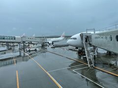 千歳は生憎の雨。