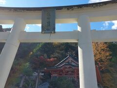 30分ほど散策して夫婦木神社の姫宮に行きました。