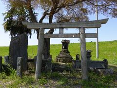 鬼怒川の堤防にほど近い場所に「水神宮」があります。神宮といっても一本の木の周りに小さな鳥居と石造りの祠や石塔があるだけのシンプルなものですが、水運で栄えた水海道ならではの光景と感じました。