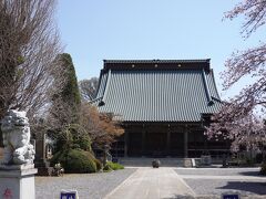 浄土宗寺院の「報国寺」は、水海道市街においては最も大きな規模のお寺だと思います。境内はシンプルでやや整然とし過ぎた感じがありますが、足を運んだのが4月初旬で、桜の花が満開で彩りを添えていました。