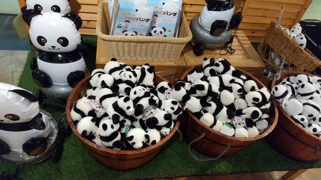 バク之進、故郷の和歌山アドベンチャーワールドへ里帰り！』南紀