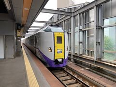 駅のホームは橋上駅で立派。特急おおぞらに乗ります。電車のようですが、非電化区間でディーゼルです。JR北海道の輸送密度からすると札幌近郊と新幹線以外は非電化で十分のよう。というか電化しても路線が維持できない。