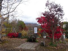 その他ニセコでは、スキ－場や湧き水スポット、三島さんの芝ざくら庭園を見学。